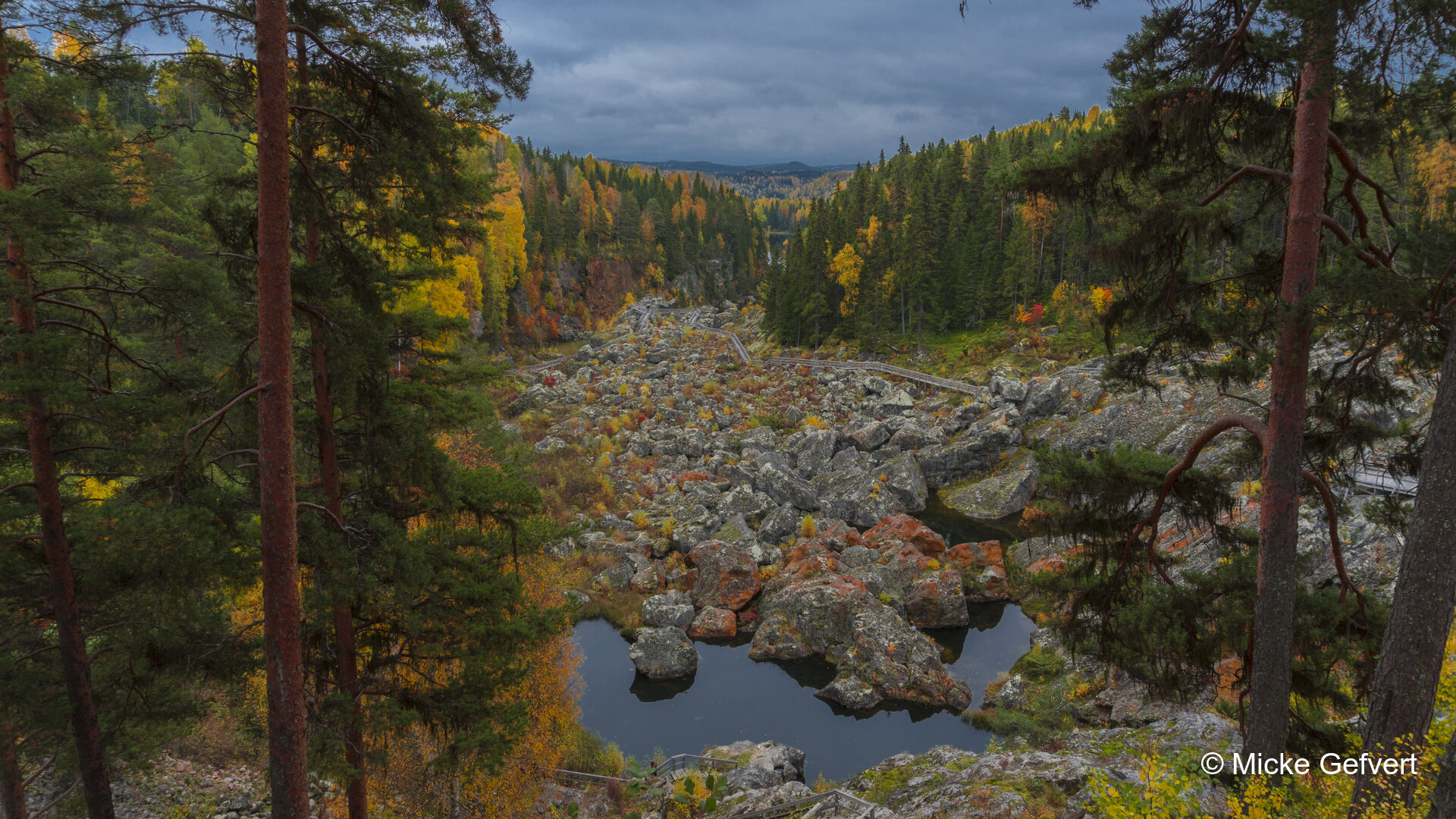00077 fotografi Jämtland
