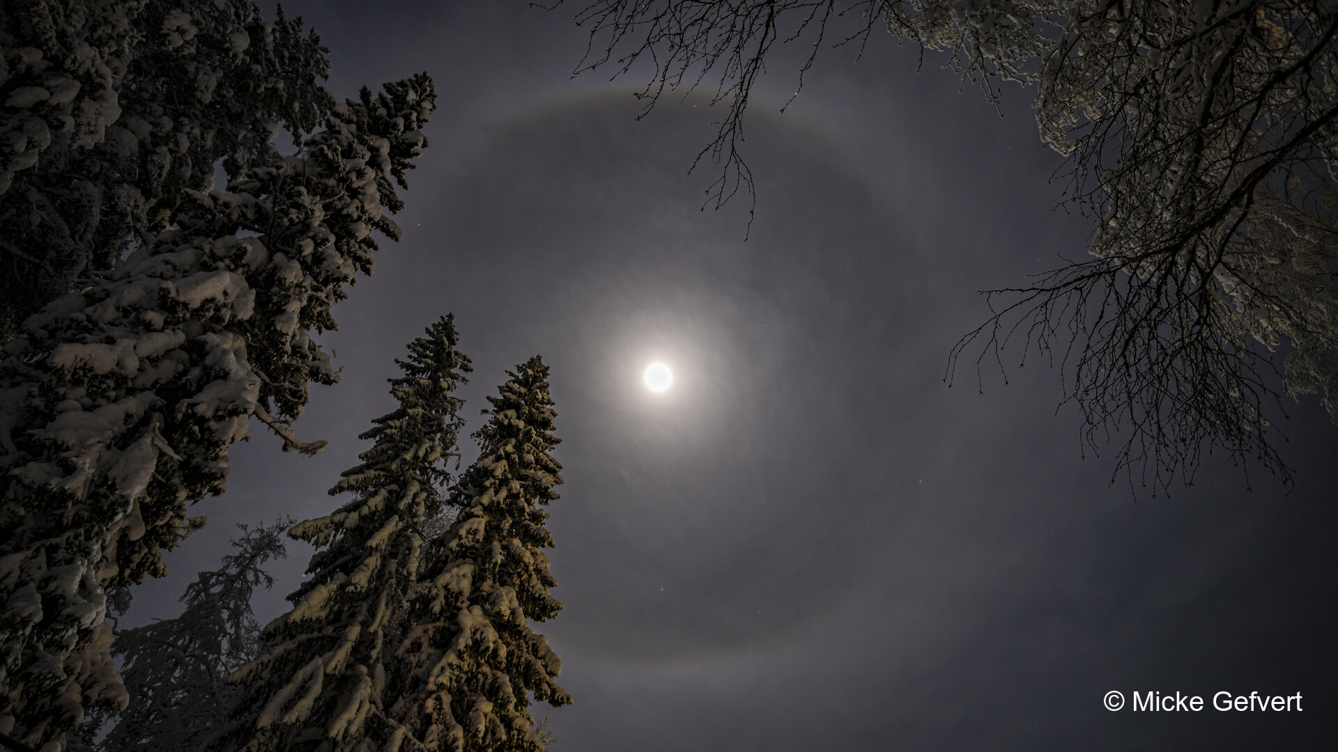 012521 fotografi Jämtland