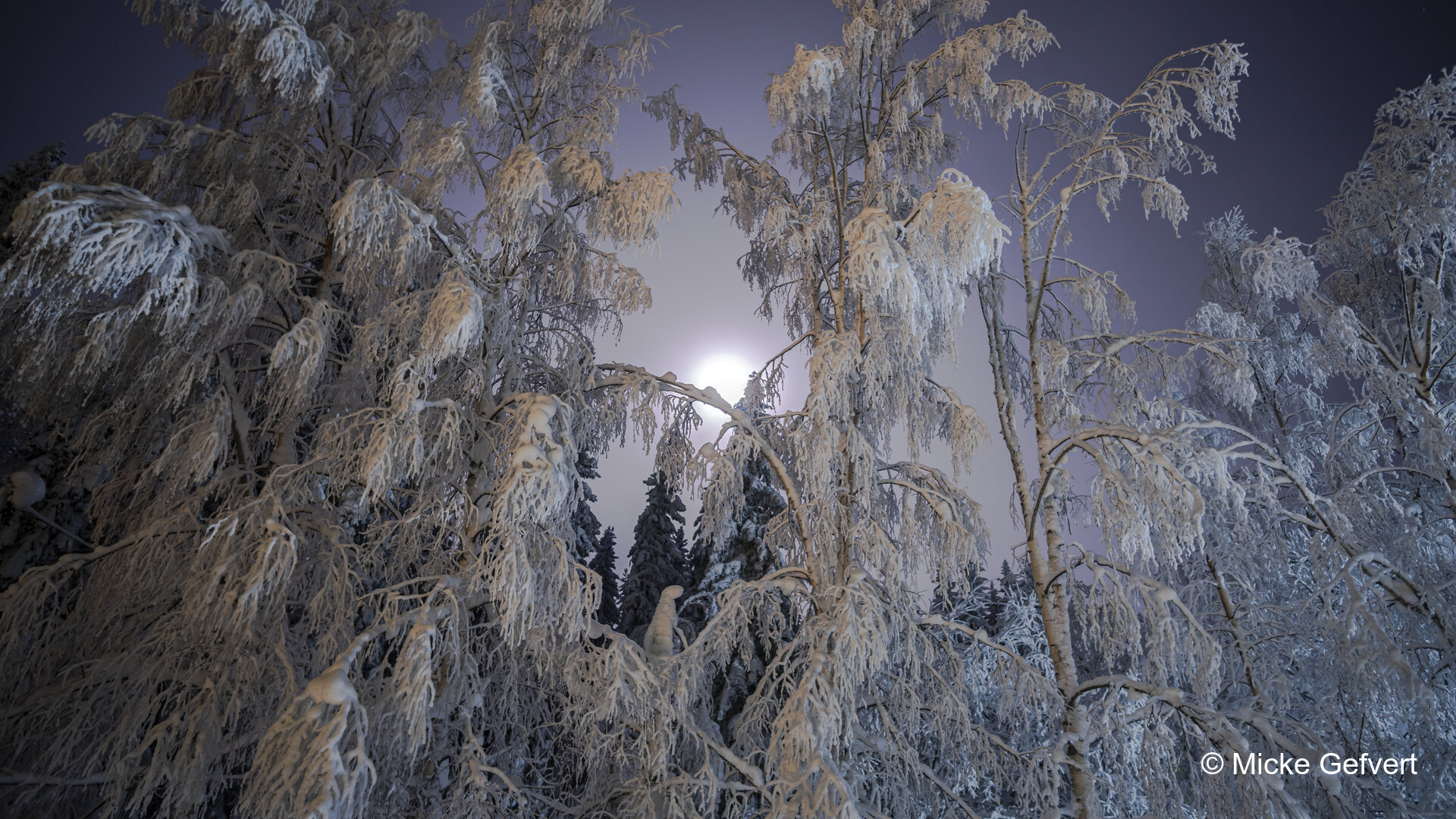 012921 1 fotografi Jämtland