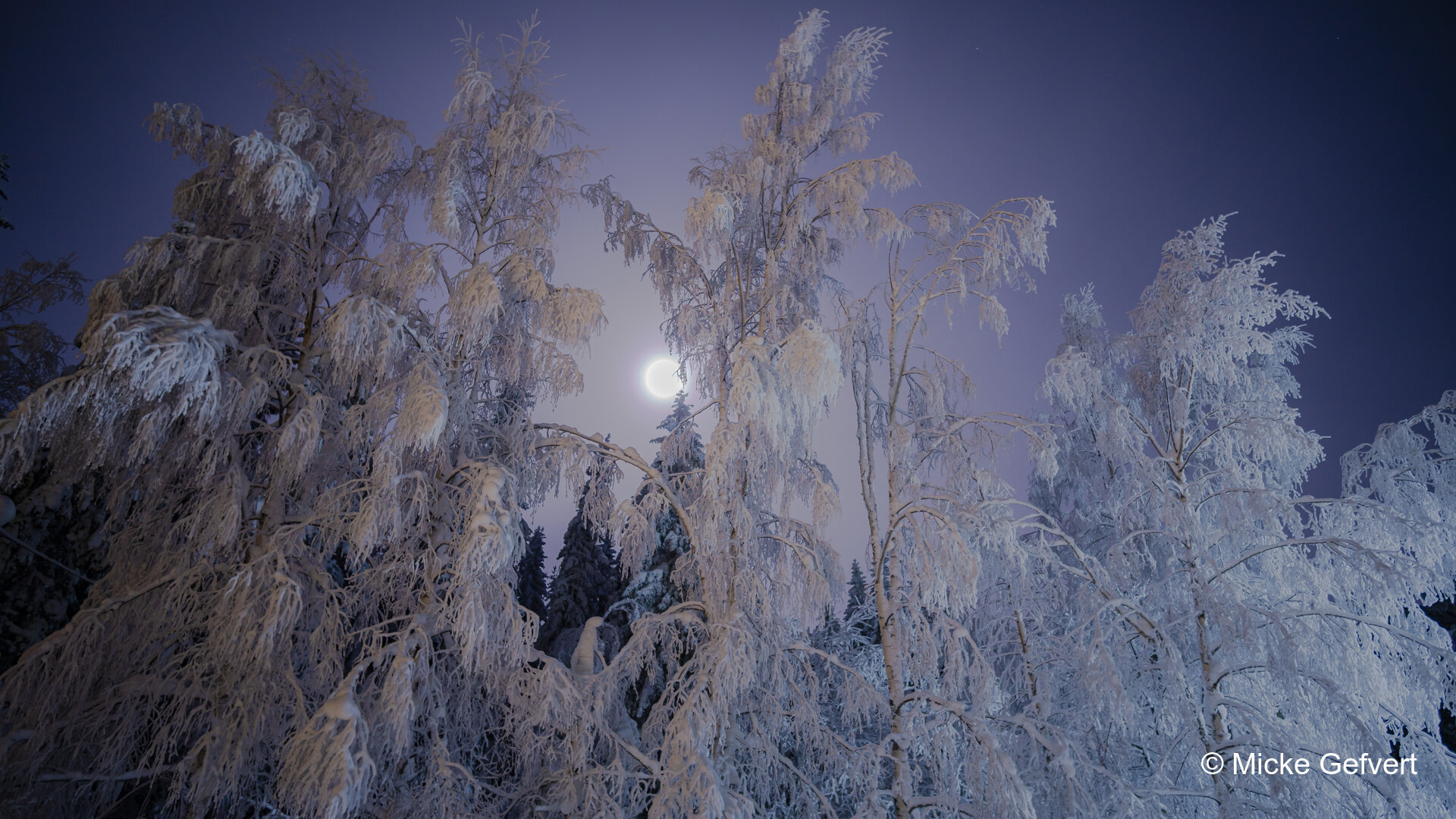 012921 2 fotografi Jämtland