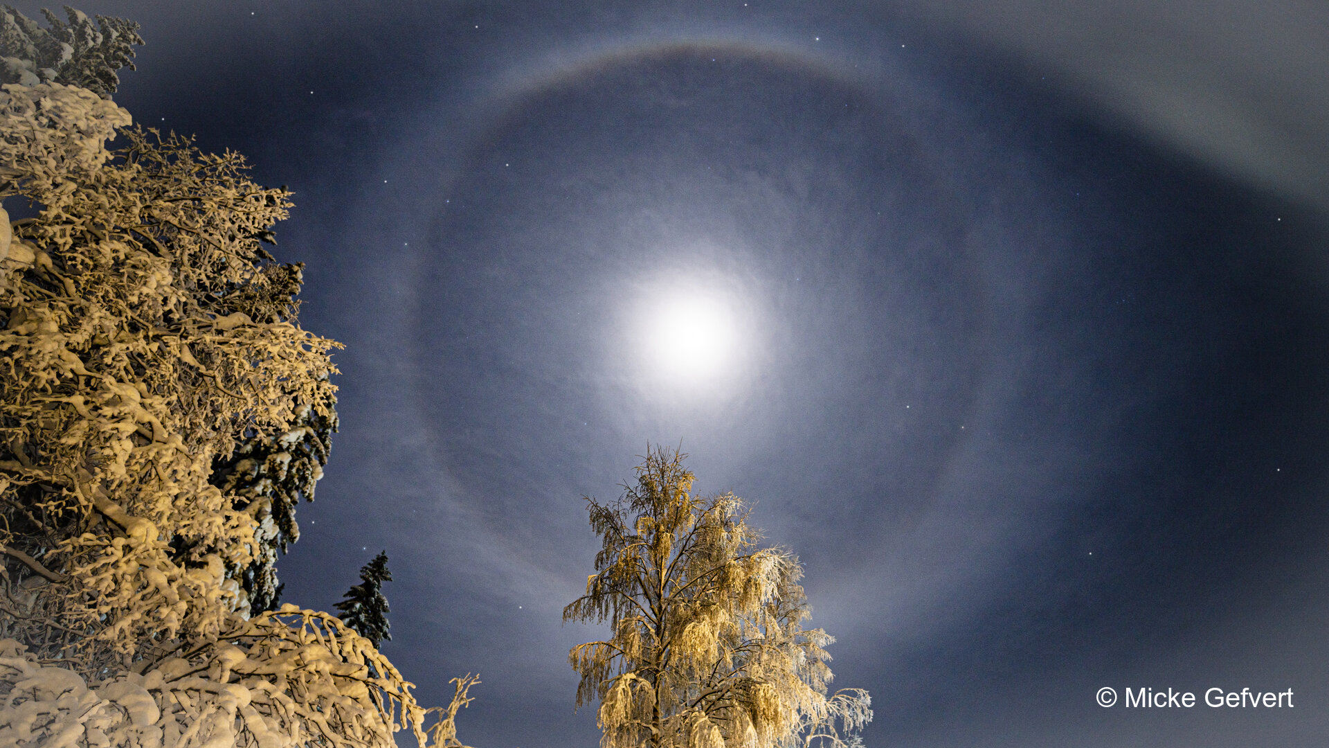 013021 fotografi Jämtland