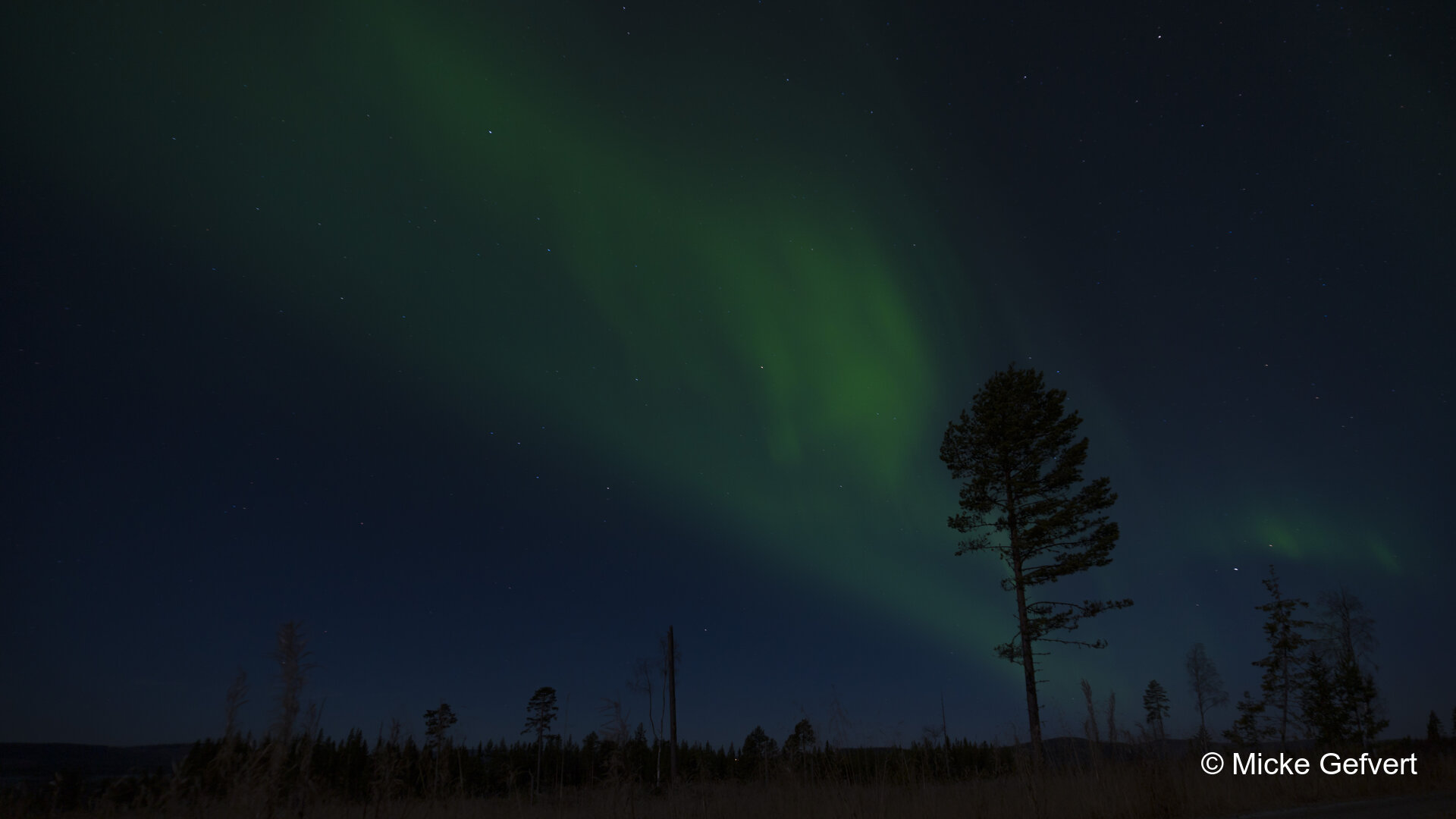 00098 fotografi Jämtland