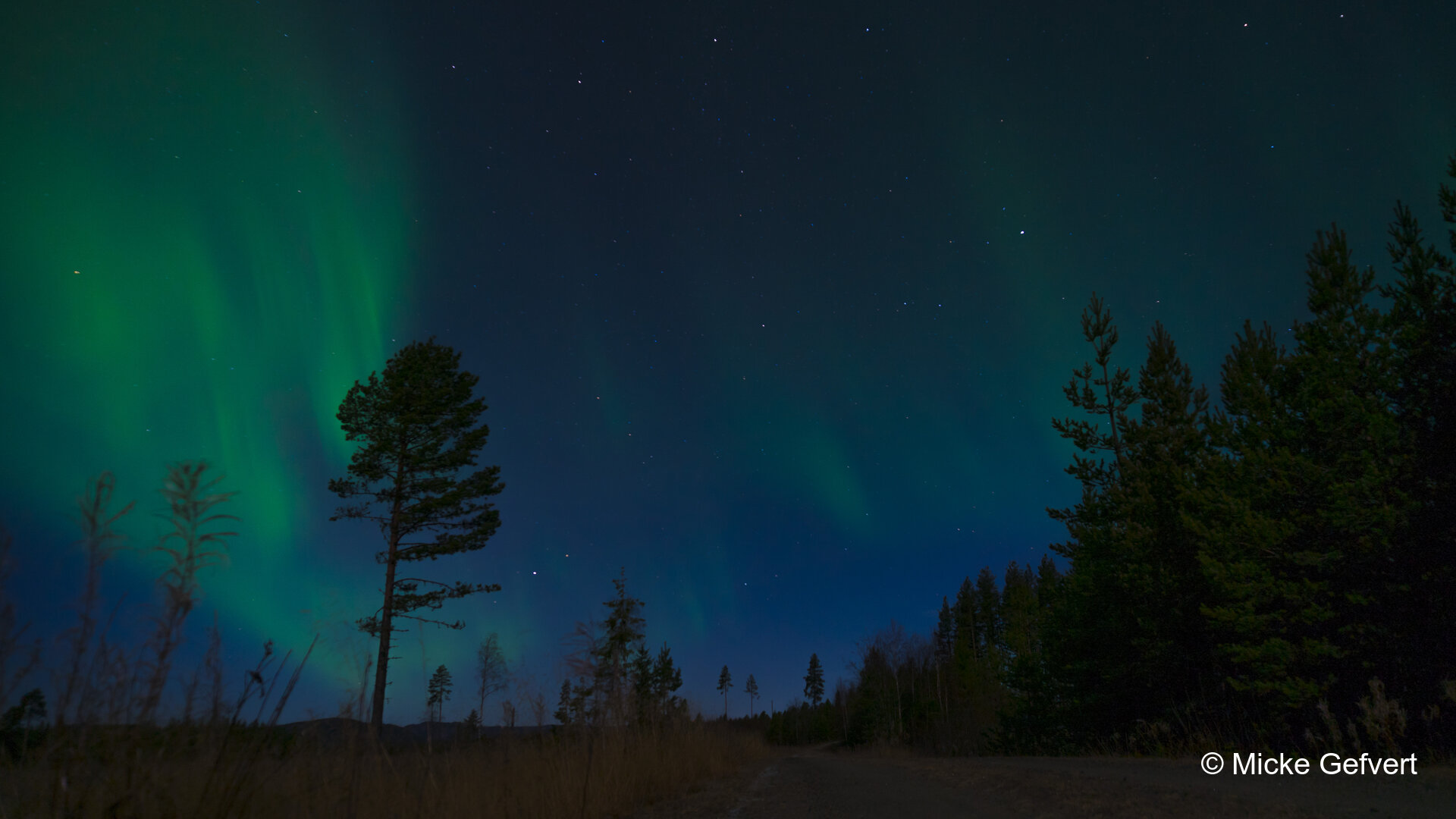 00099 fotografi Jämtland