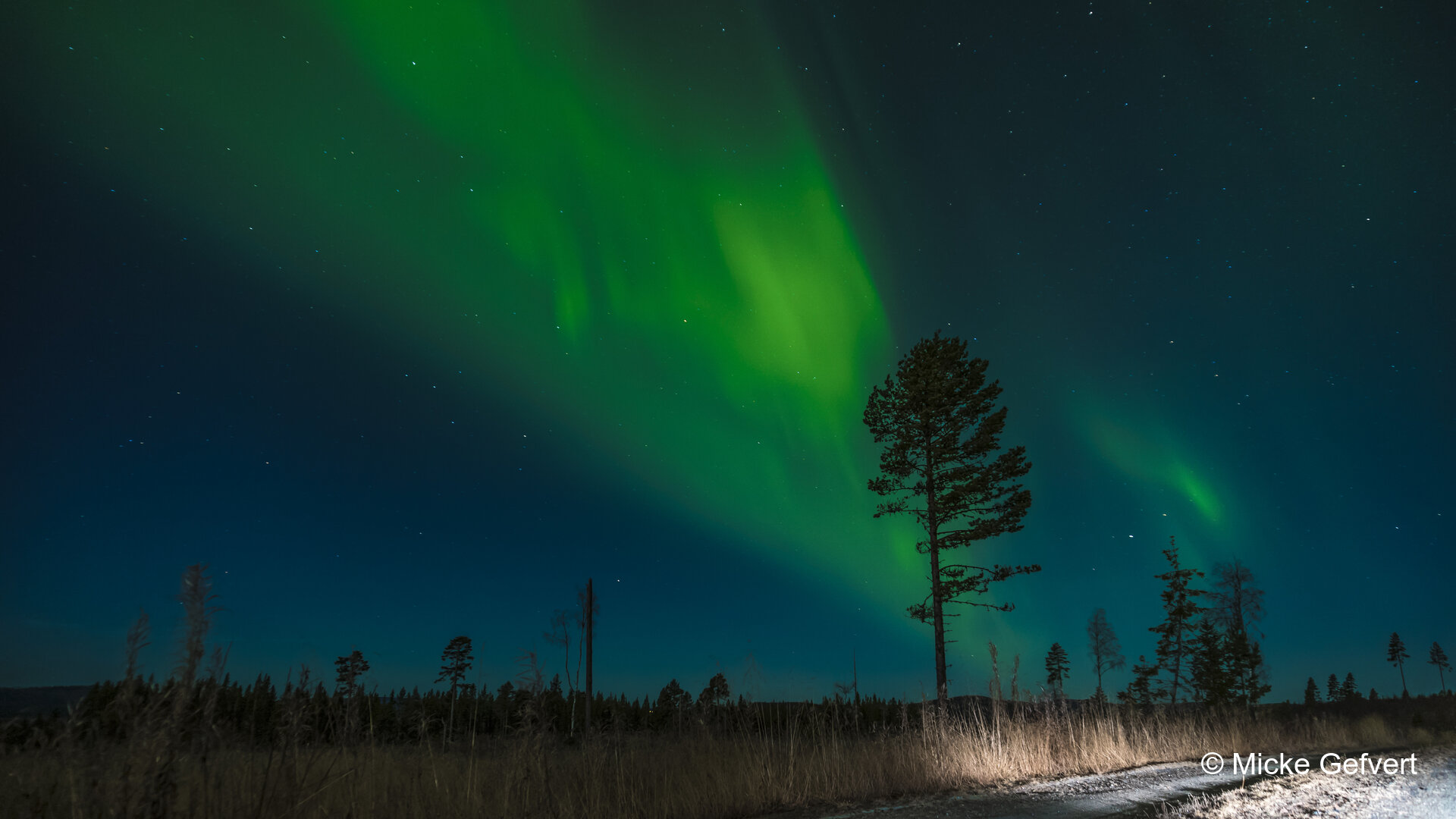 00100 fotografi Jämtland