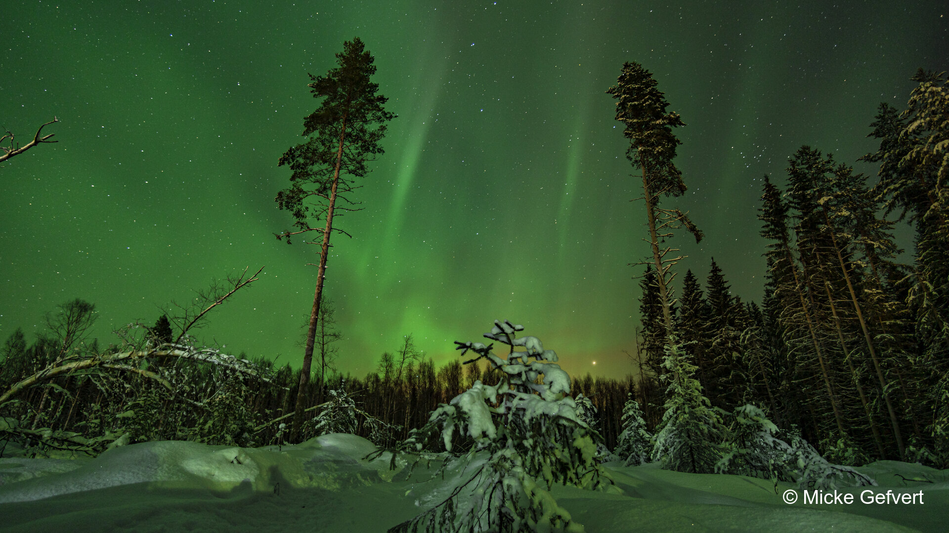020422 fotografi Jämtland