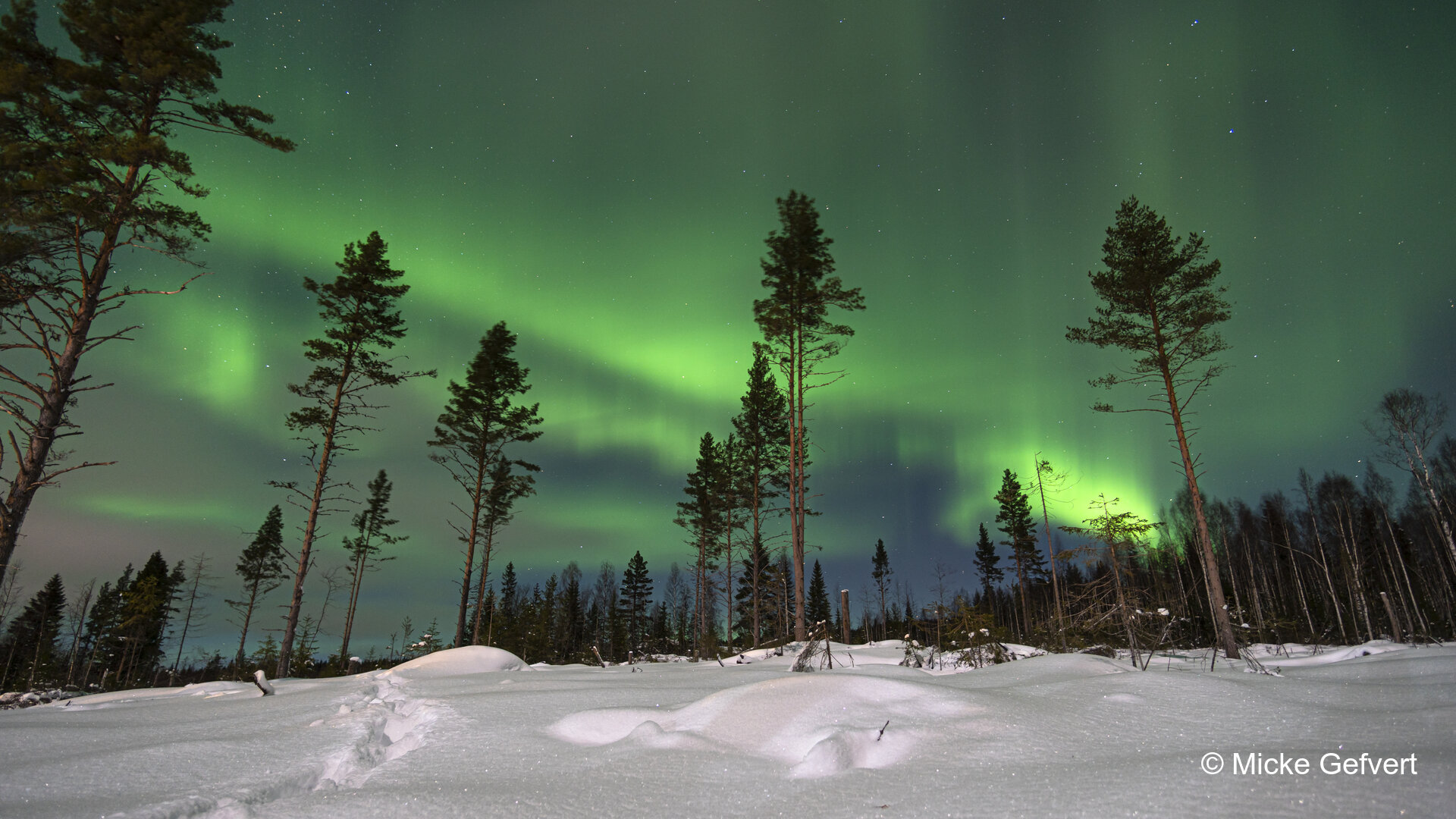 021022 3 fotografi Jämtland