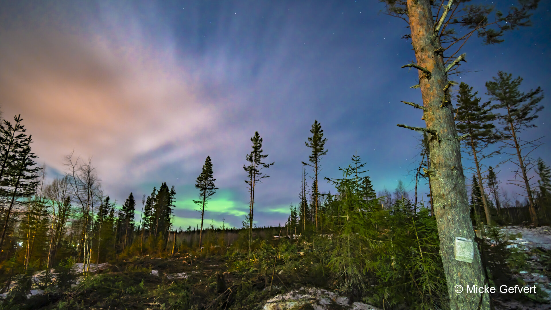 032121 fotografi Jämtland