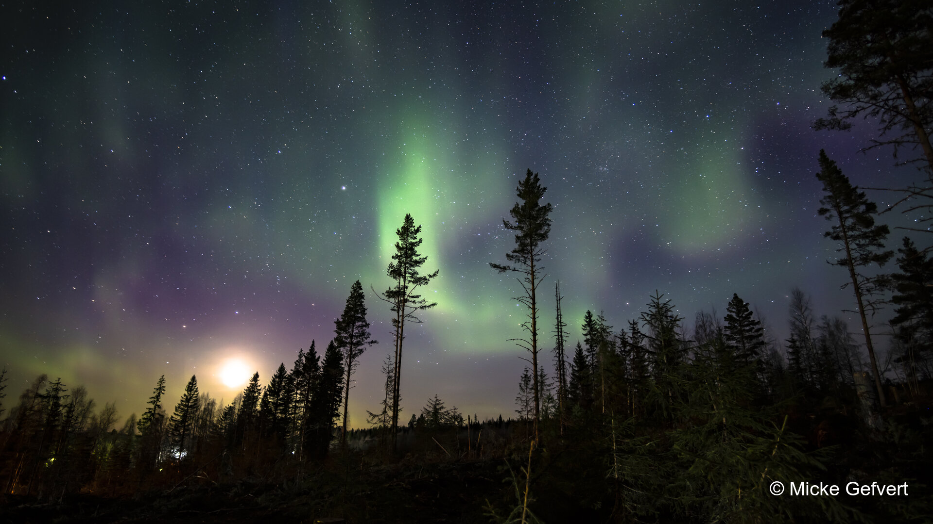 041821 2 fotografi Jämtland