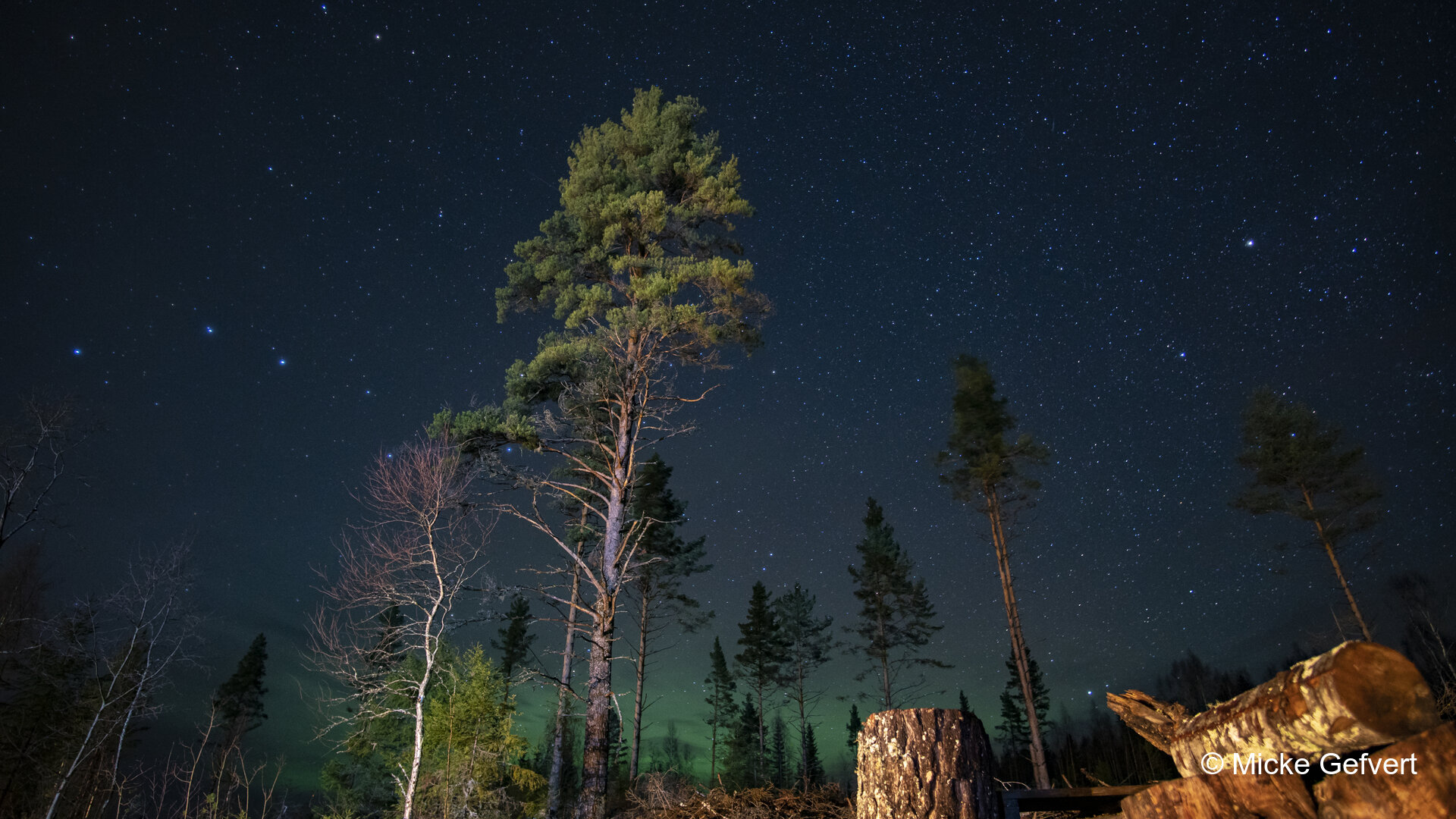 110621 1 fotografi Jämtland