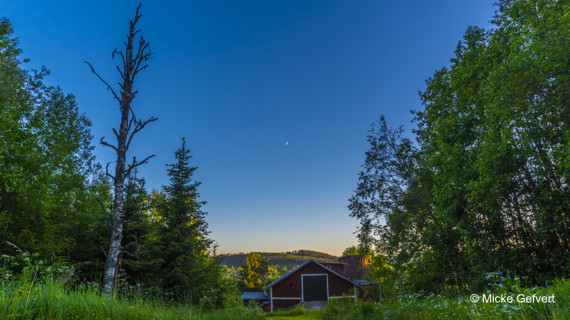 00016 fotografi Jämtland
