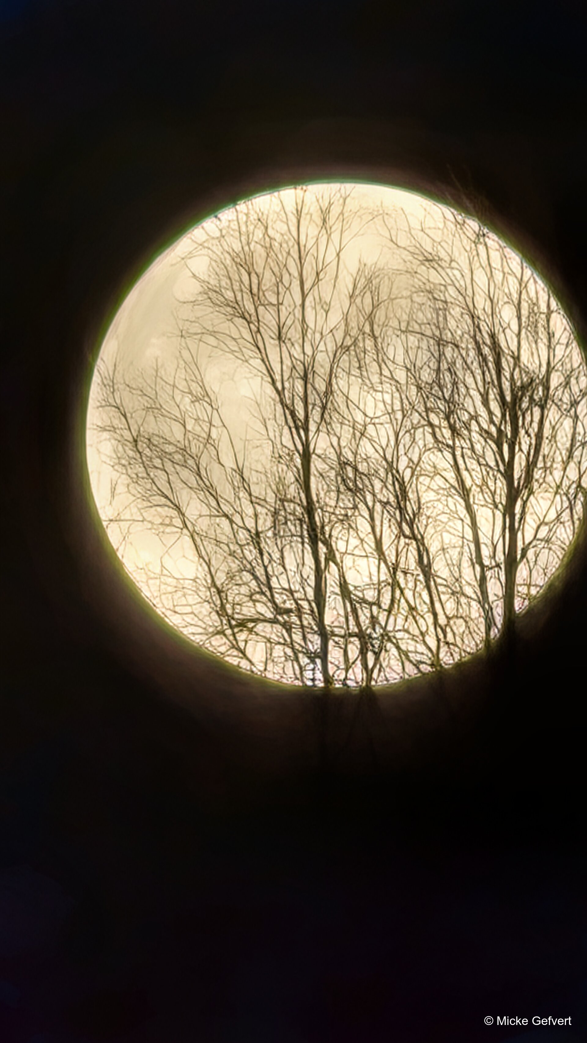 PXL 202511 fotografi Jämtland