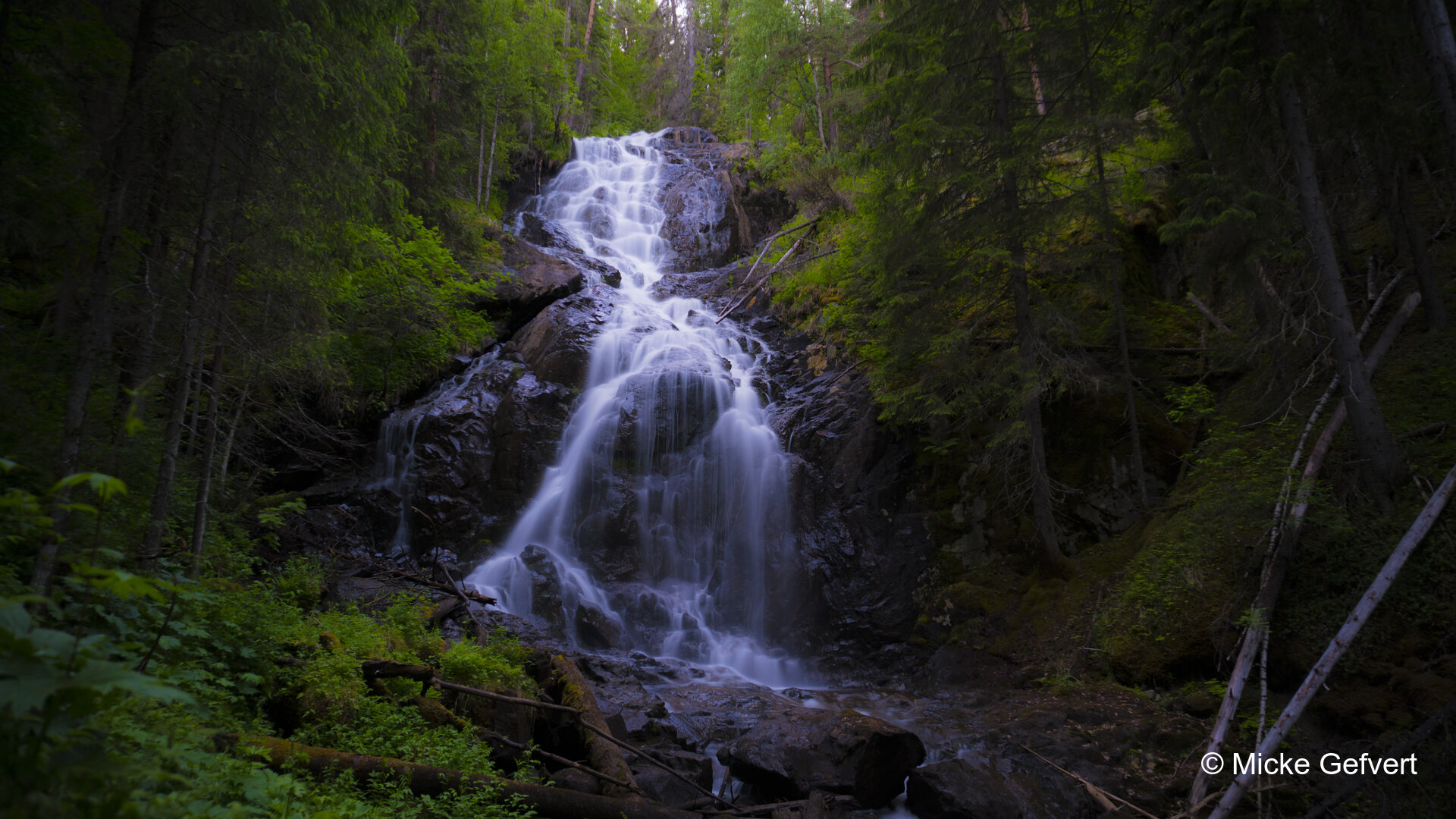Fotogalleri: Water
