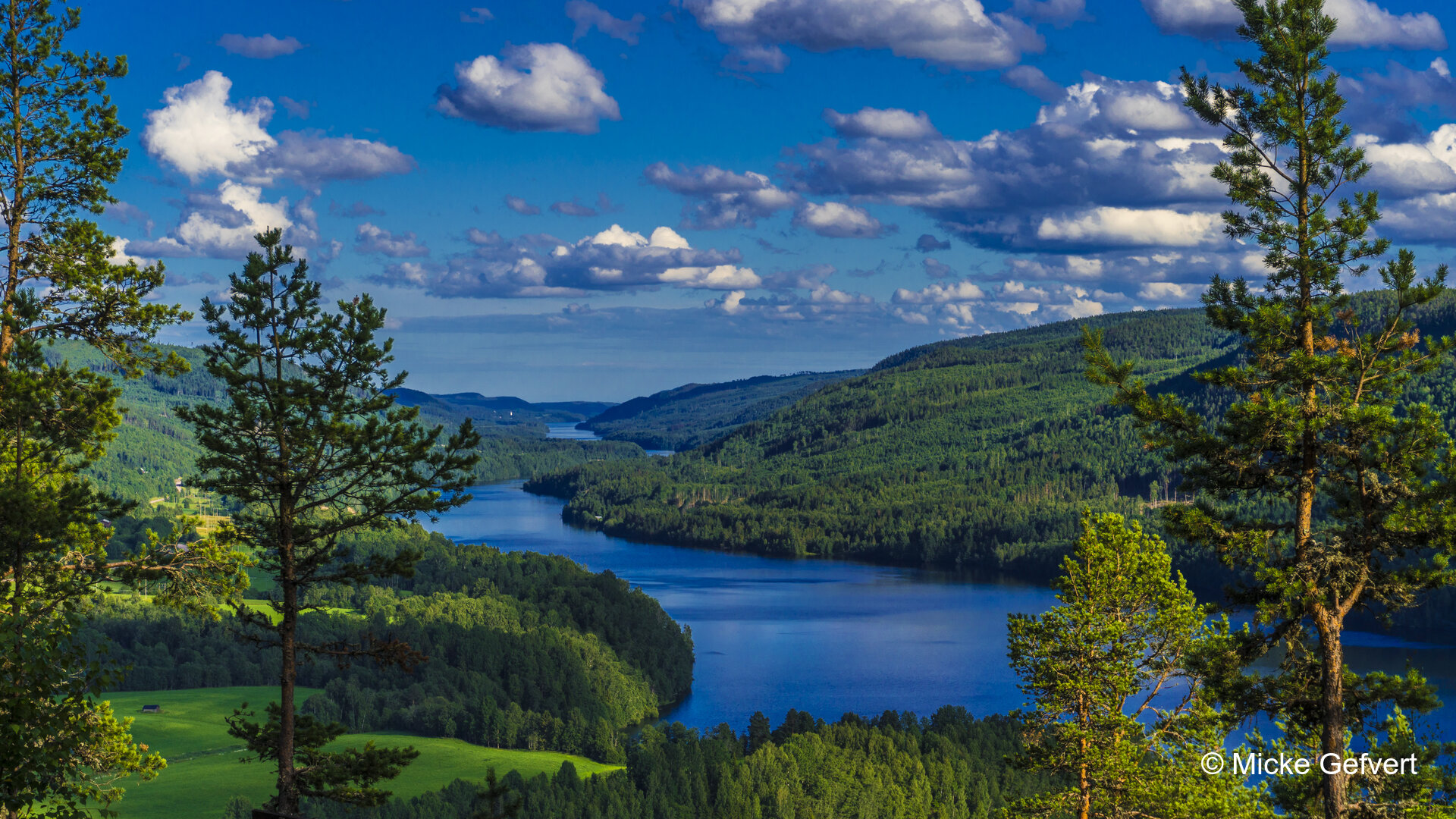 00055 fotografi Jämtland