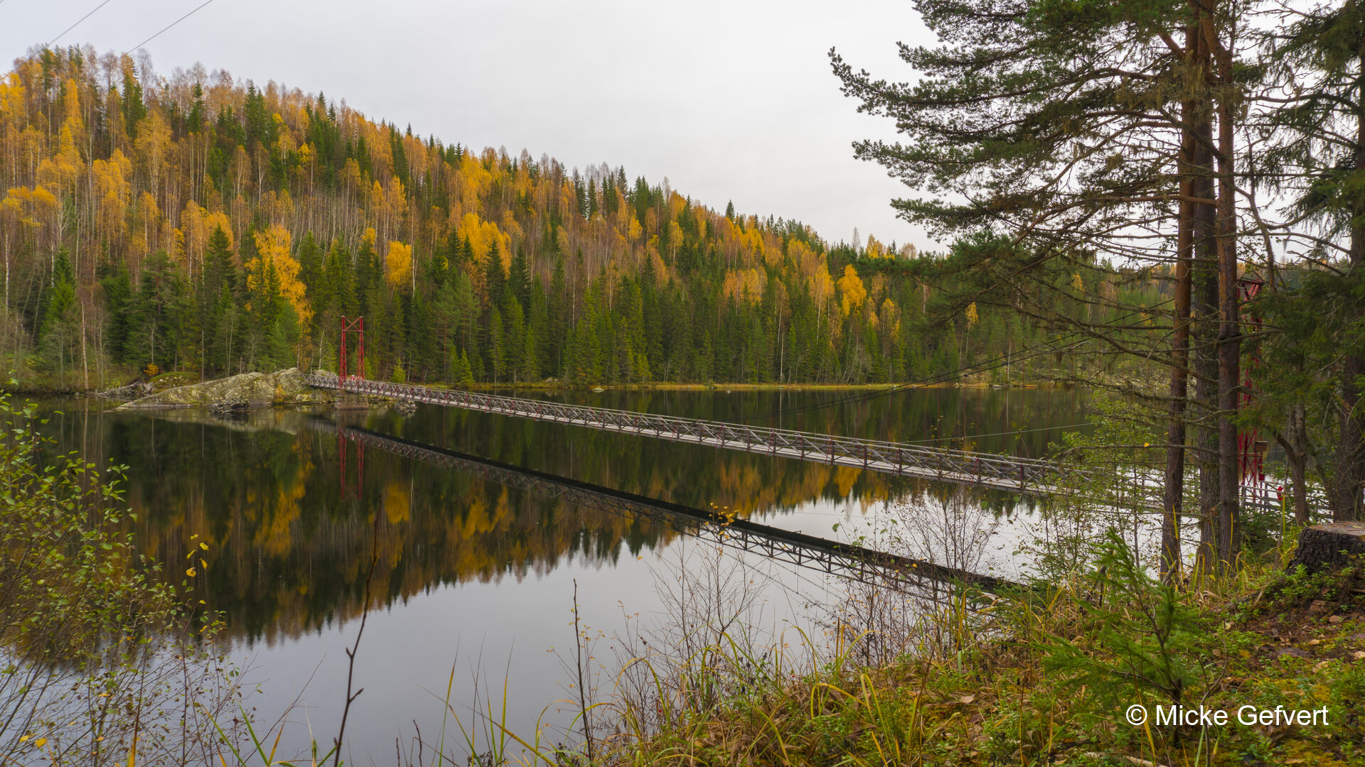 00082 fotografi Jämtland