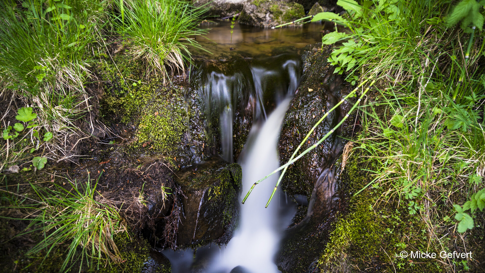 00156 fotografi Jämtland