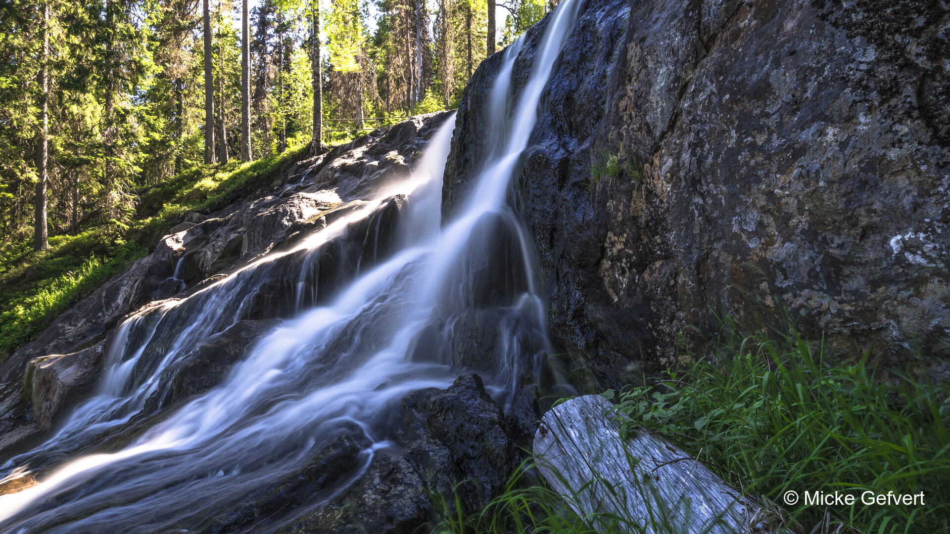 00161 fotografi Jämtland