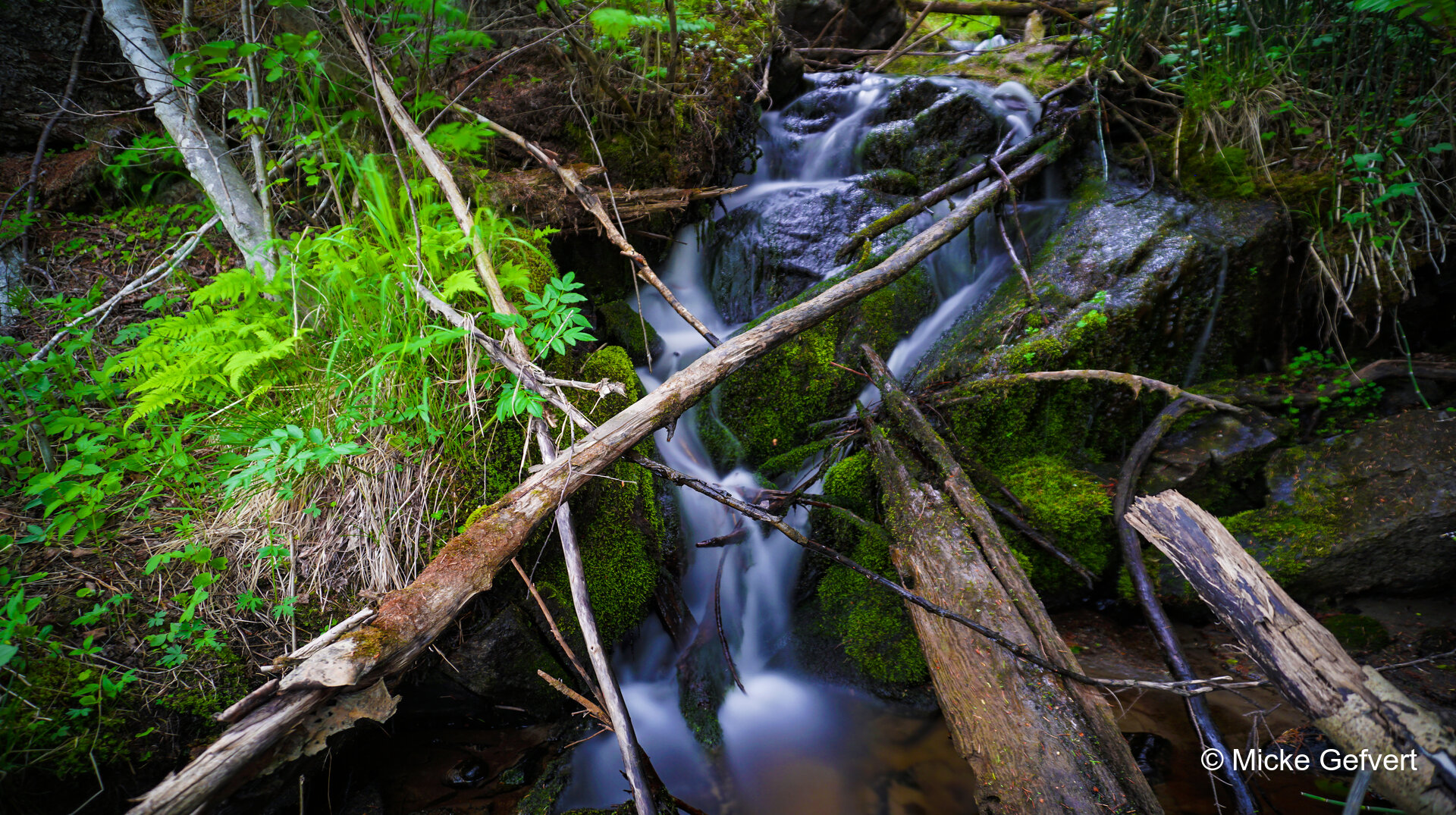  DSC1735 fotografi Jämtland