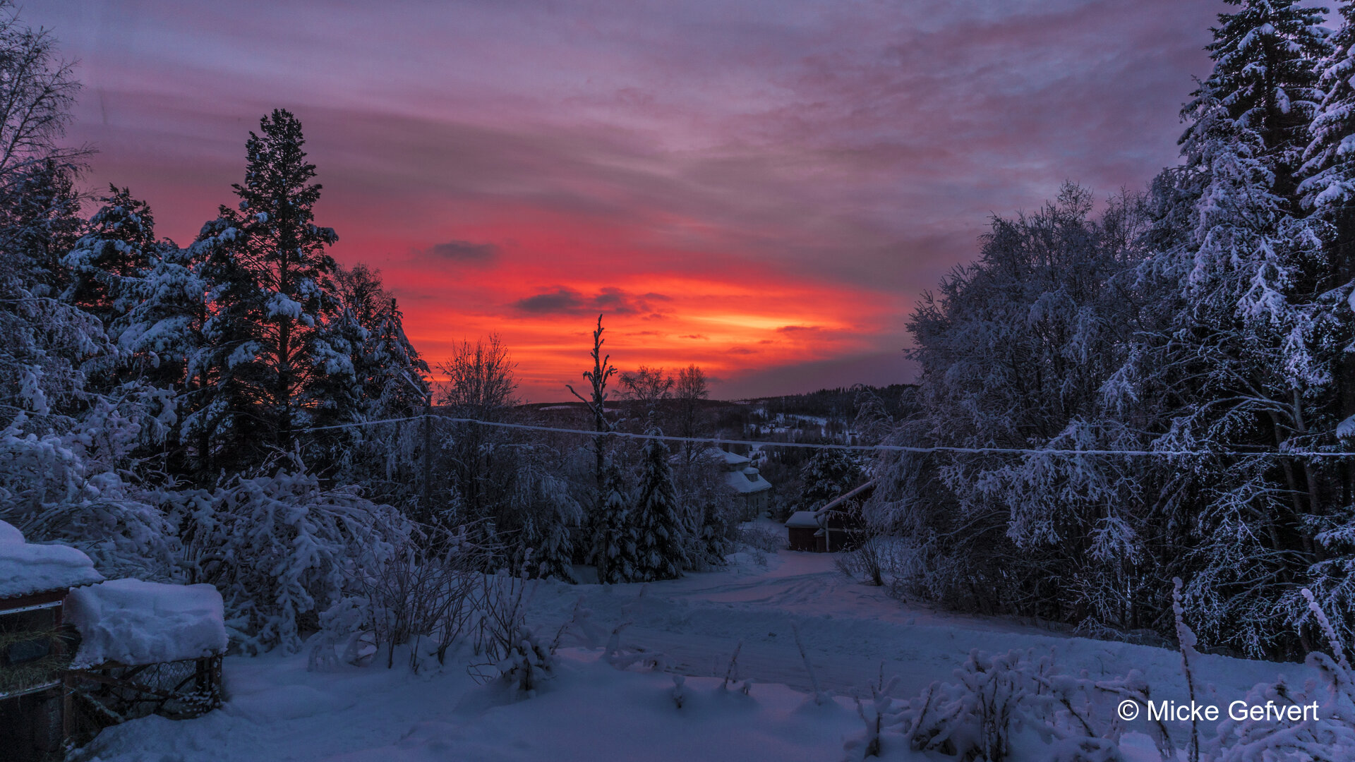 00140 fotografi Jämtland