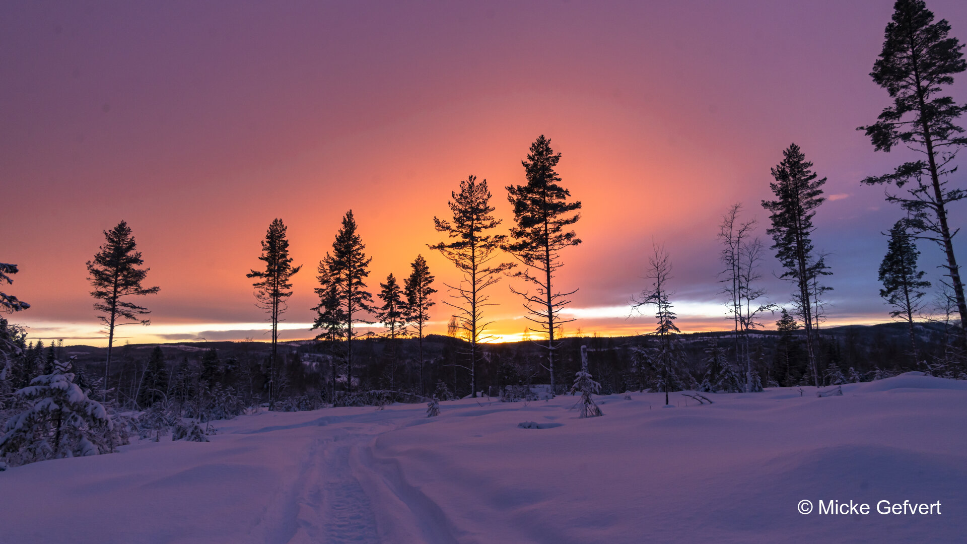 020622 fotografi Jämtland
