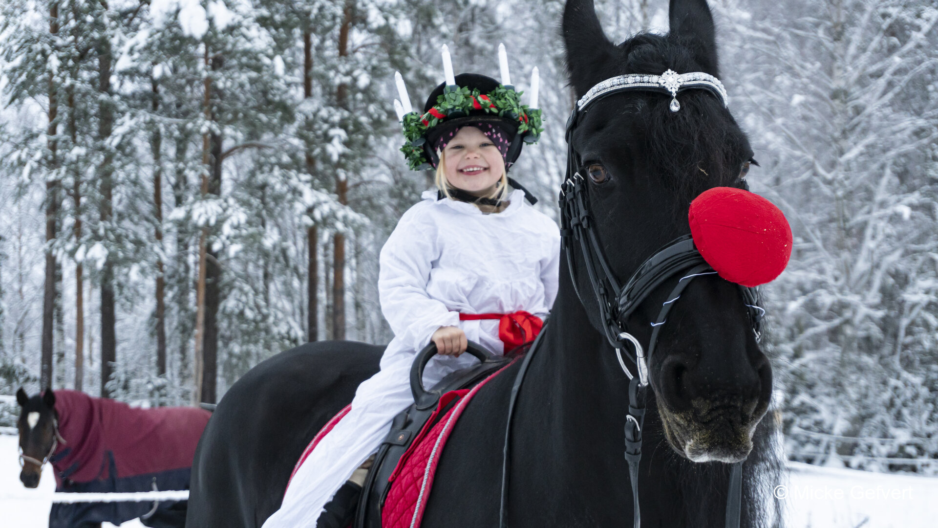 121321 1 fotografi Jämtland