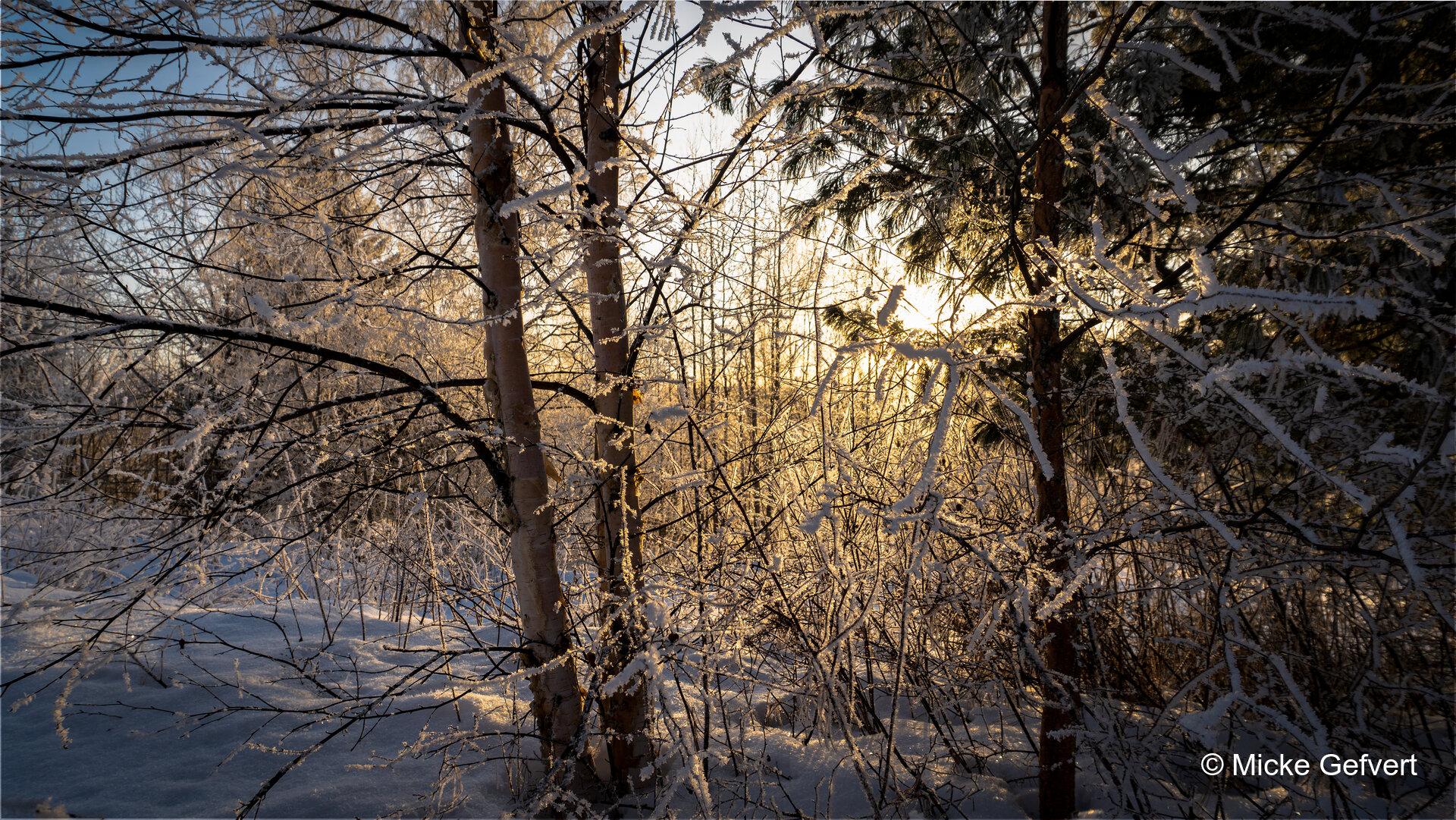  DSC4416.ARW fotografi Jämtland